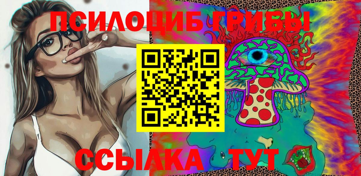 Киров  Галлюциногенные грибы Psilocybine cubensis  Вход с VPN  Галлюциногенные грибы мицелий 